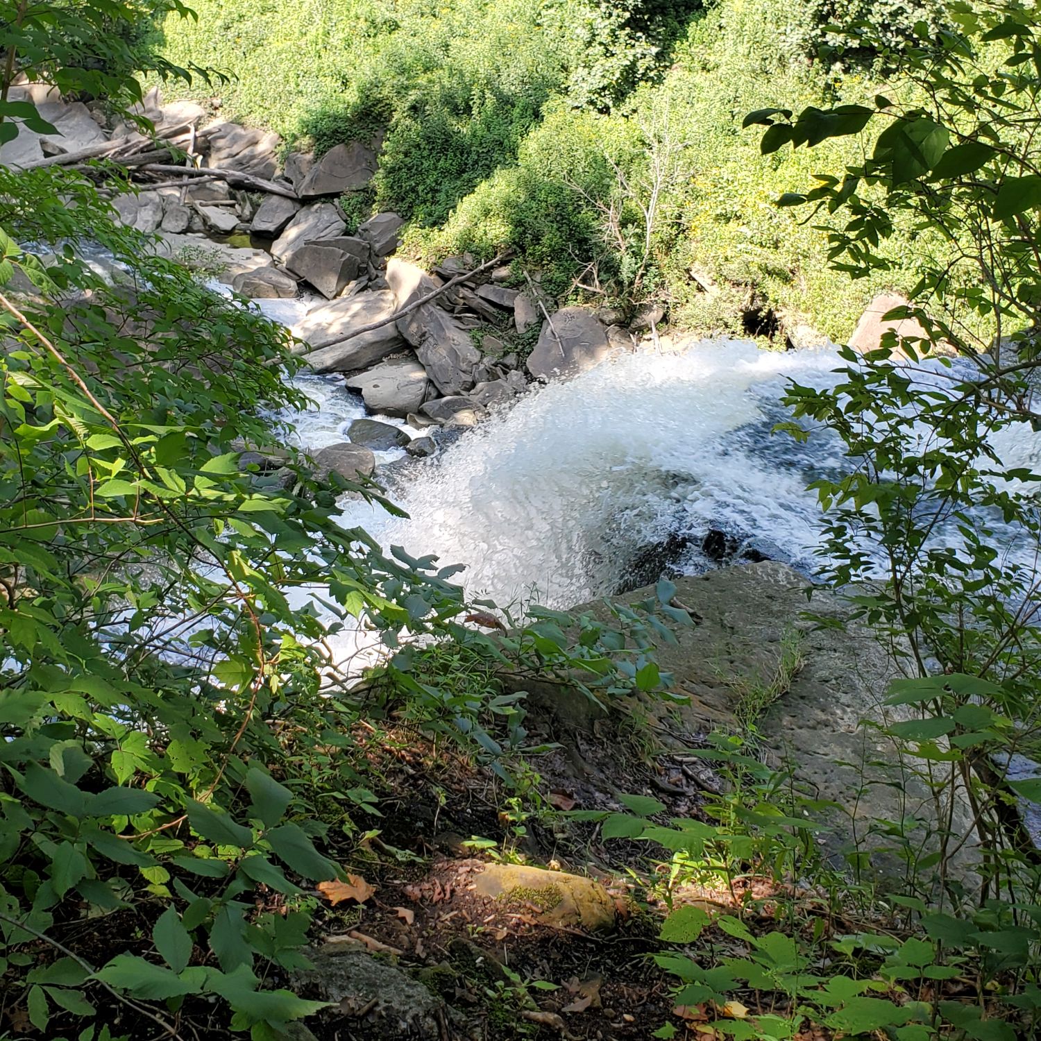 Stanford and Brandywine Gorge Trails 